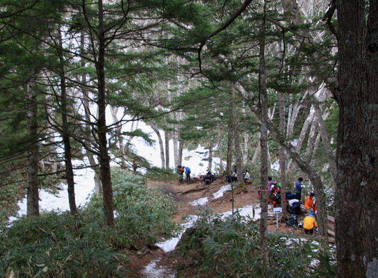 20110503tubakuro-004.jpg