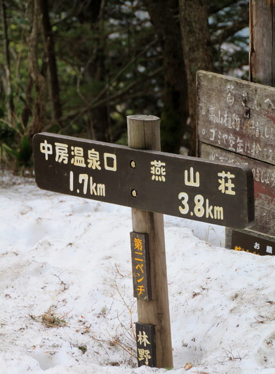 20110503tubakuro-005.jpg