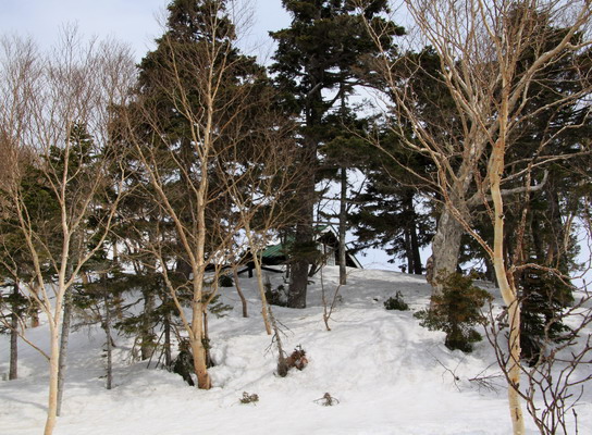 20110503tubakuro-006.jpg