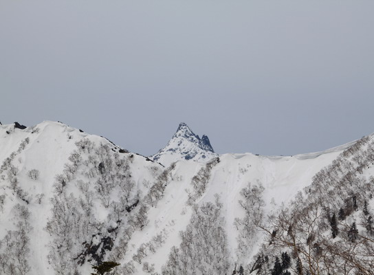 20110503tubakuro-008.jpg