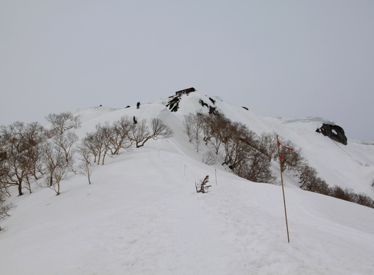 20110503tubakuro-009.jpg