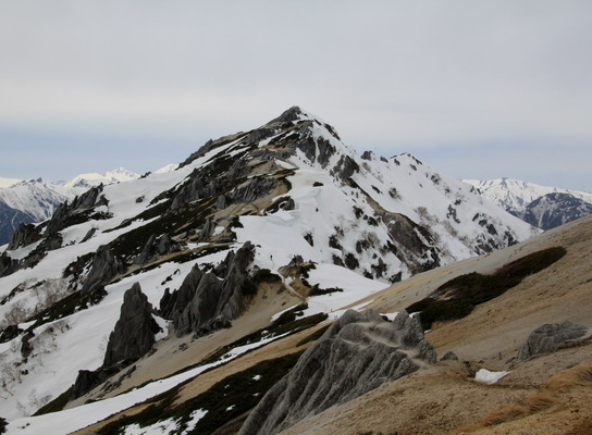 20110503tubakuro-011.jpg