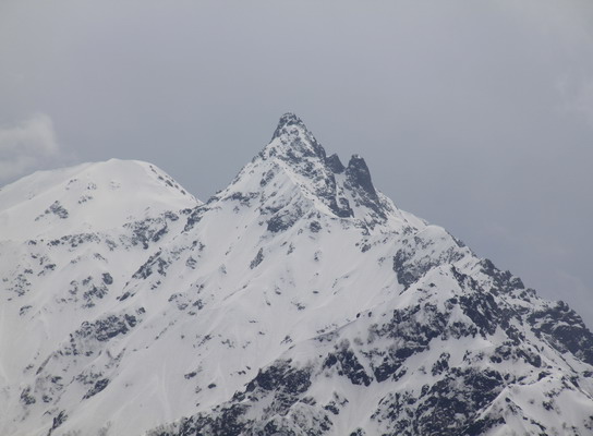20110503tubakuro-012.jpg
