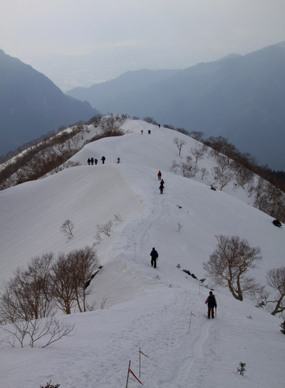 20110504tubakuro-006.jpg