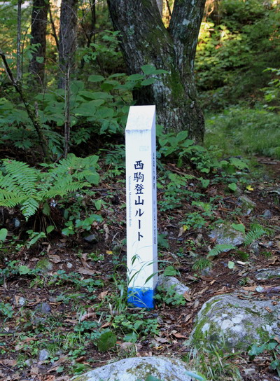 20110924kisokoma-001.jpg