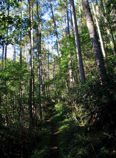 20110924kisokoma-002.jpg
