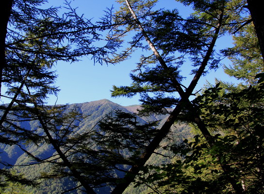 20110924kisokoma-004.jpg