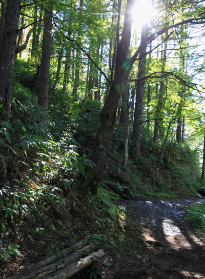 20110924kisokoma-005.jpg