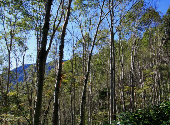 20110924kisokoma-006.jpg