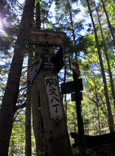 20110924kisokoma-008.jpg