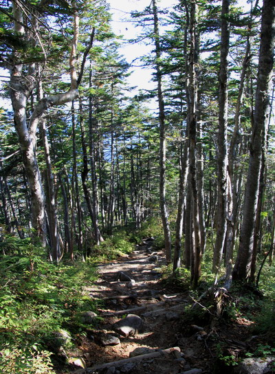 20110925kisokoma-014.jpg