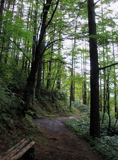 20110925kisokoma-015.jpg