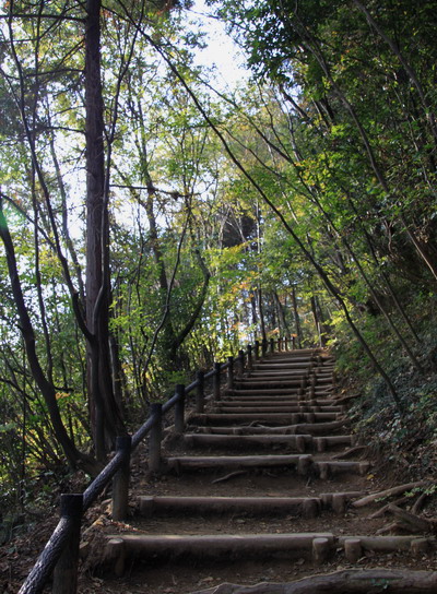 20111105takaosan-003.jpg