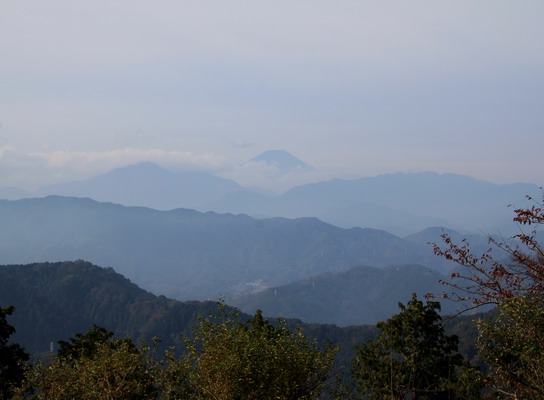 20111105takaosan-005.jpg