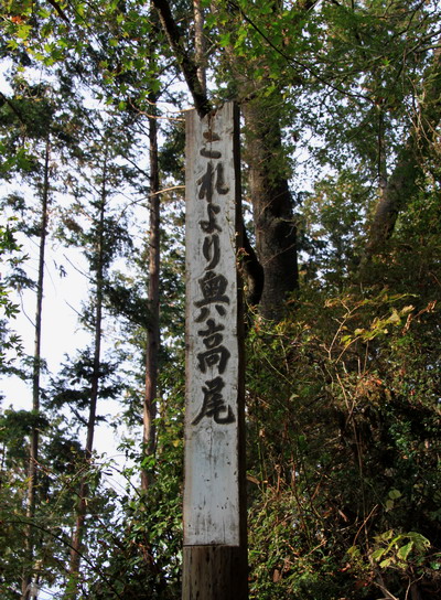 20111105takaosan-006.jpg