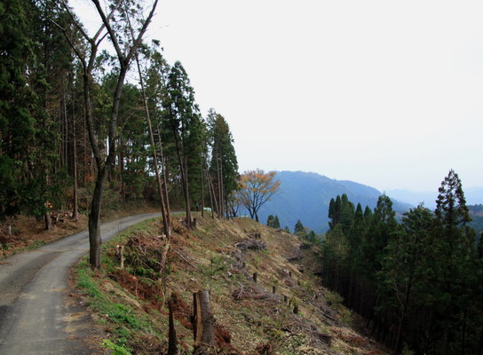 20111105takaosan-012.jpg
