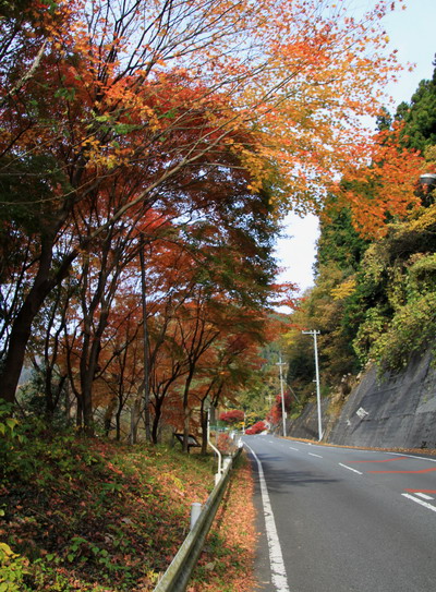20111127bounoori-003.jpg