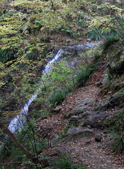 20111127bounoori-006.jpg