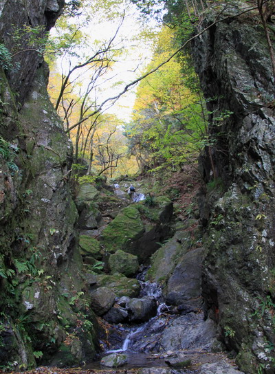 20111127bounoori-007.jpg