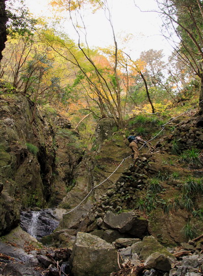 20111127bounoori-008.jpg