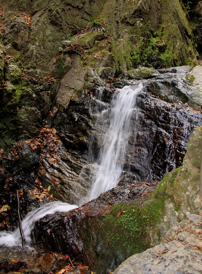 20111127bounoori-009.jpg