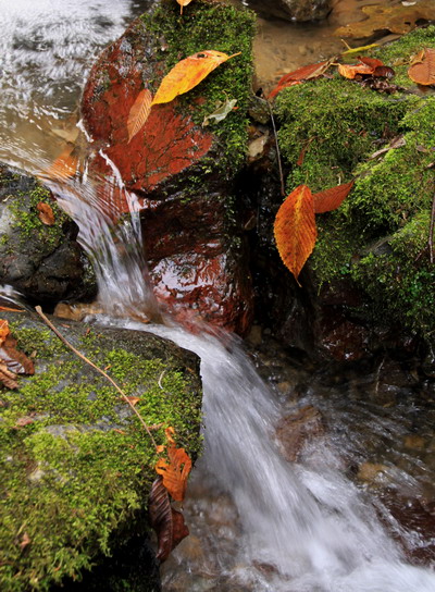 20111127bounoori-010.jpg