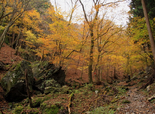 20111127bounoori-011.jpg