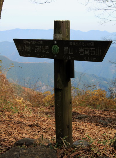 20111127bounoori-012.jpg