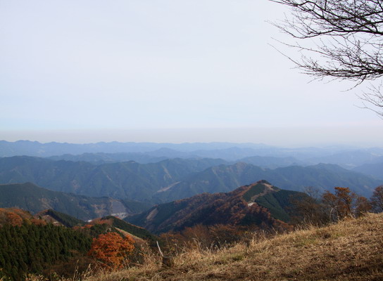 20111127bounoori-018.jpg