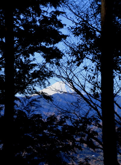 20111209jinba-004.jpg