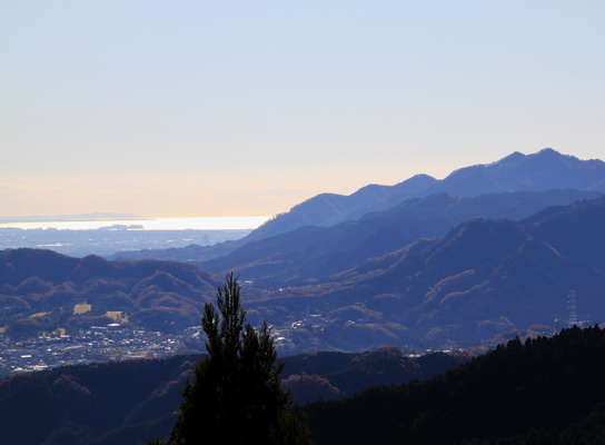 20111209jinba-005.jpg
