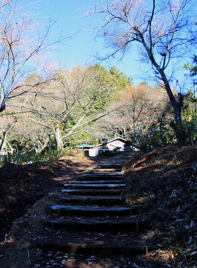20111209jinba-006.jpg