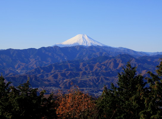 20111209jinba-007.jpg