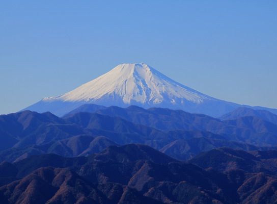 20111209jinba-010.jpg