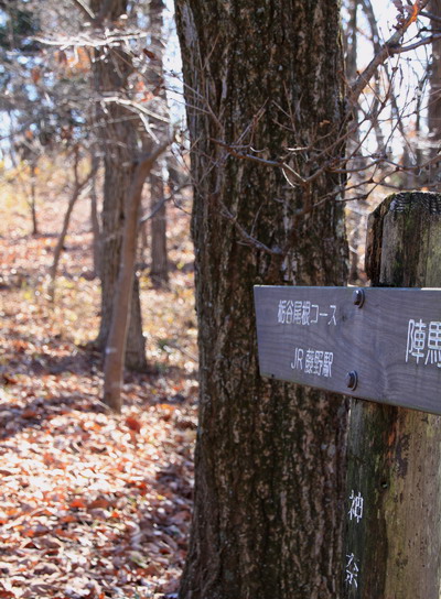 20111209jinba-011.jpg