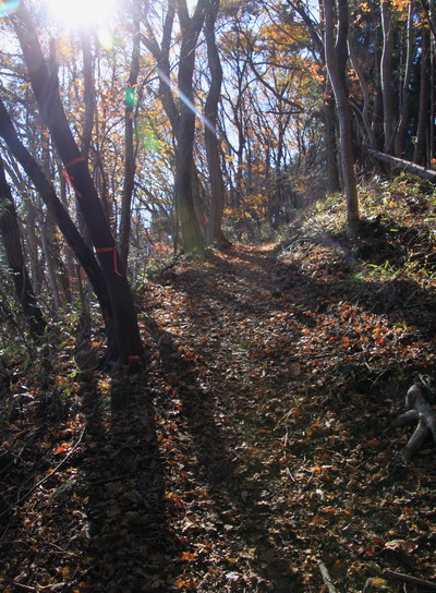 20111209jinba-012.jpg