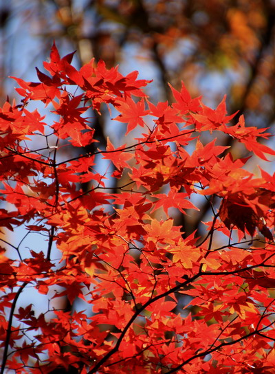 20111209jinba-013.jpg