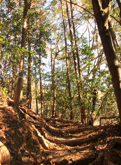 20111221kagenobu-003.jpg
