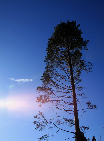 20111221kagenobu-006.jpg