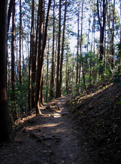 20111221kagenobu-012.jpg