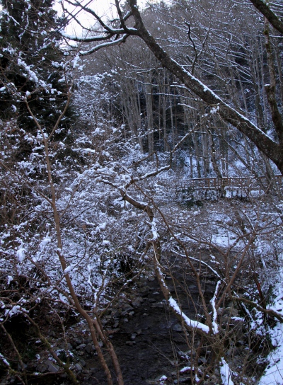 20120221hikage-001.jpg