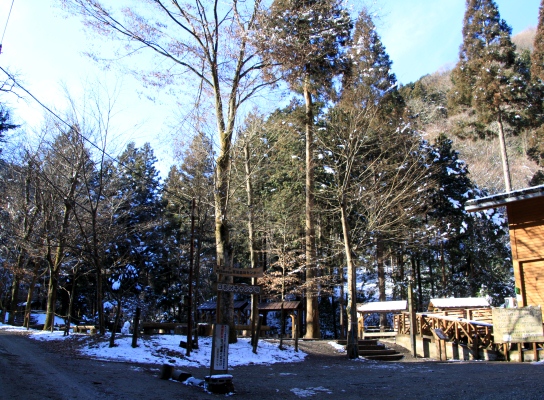 20120221hikage-002.jpg