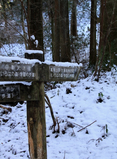 20120221hikage-003.jpg