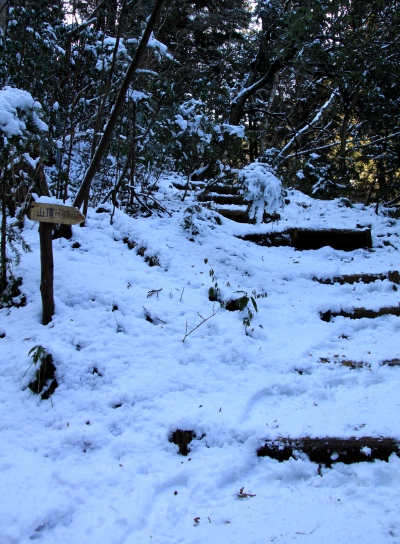 20120221hikage-004.jpg