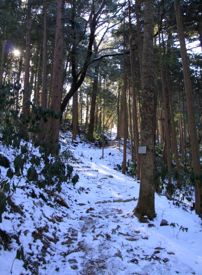 20120221hikage-005.jpg