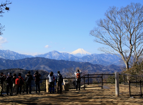 20120221hikage-006.jpg