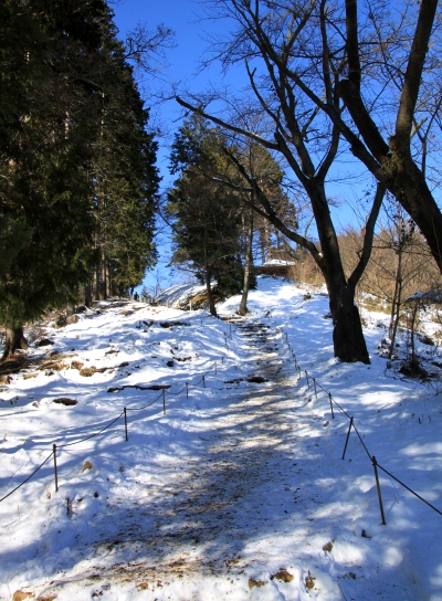 20120221hikage-008.jpg