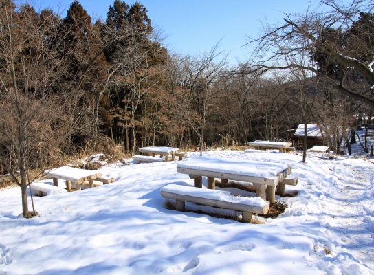 20120221hikage-009.jpg