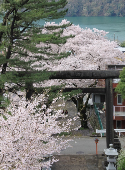 20120418kagenobu-002.jpg