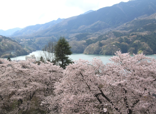 20120418kagenobu-003.jpg
